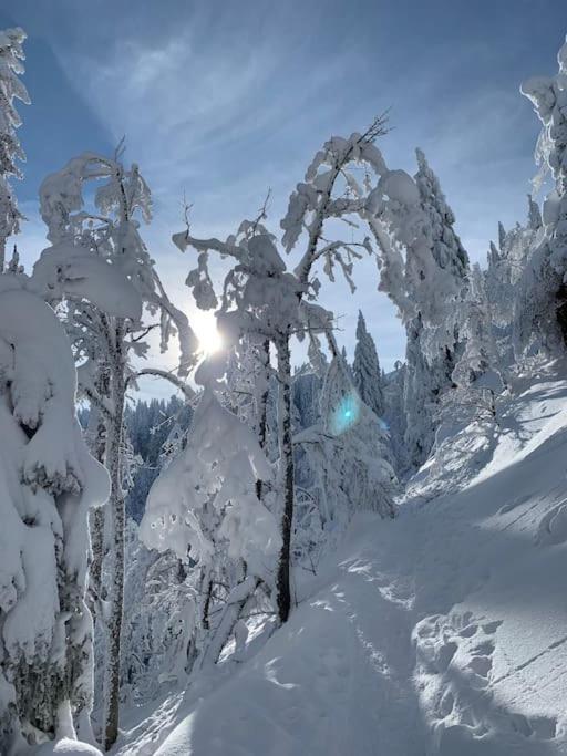 Stube9 Am Feldberg, Direkt An Der Skipiste, Ski In-Ski Out Feldberg  Exterior photo